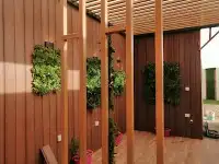 مشتل زراعة طبيعي ثيل واحواض وأشجار وزهور 6