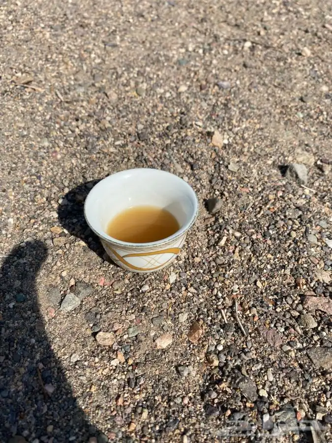 قهوة الكيف 49