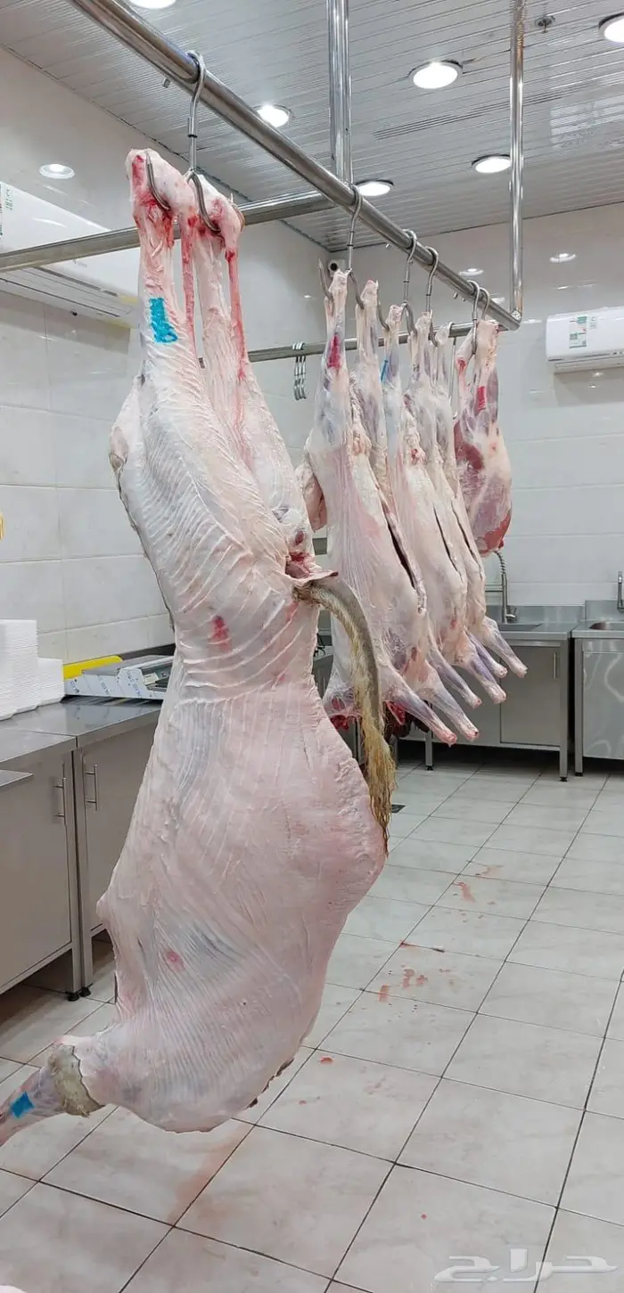 متجر ذبيحة 23