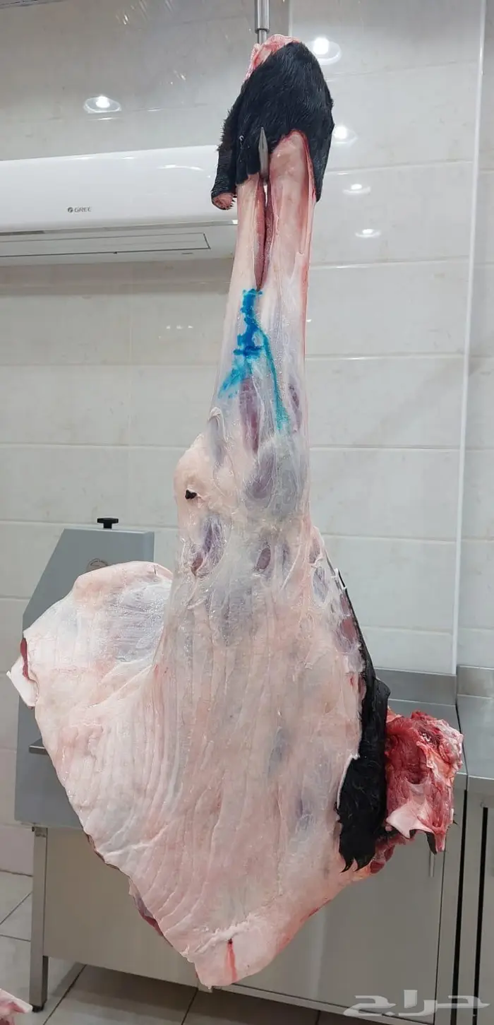 متجر ذبيحة 27