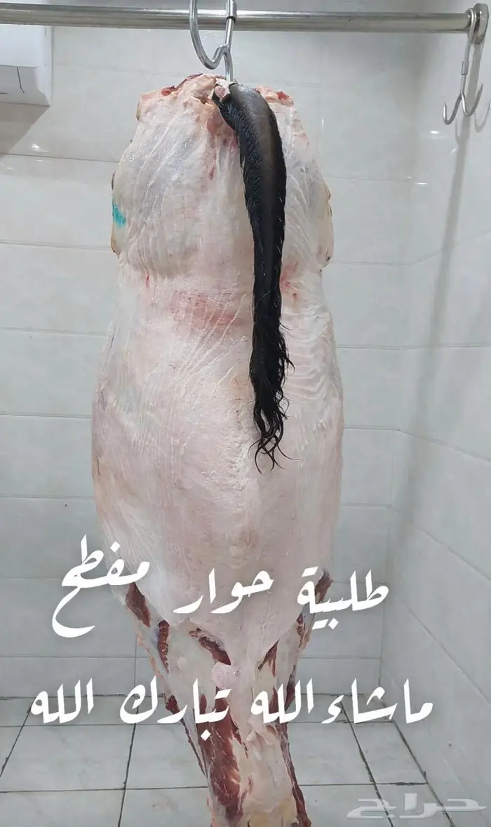 متجر ذبيحة 28