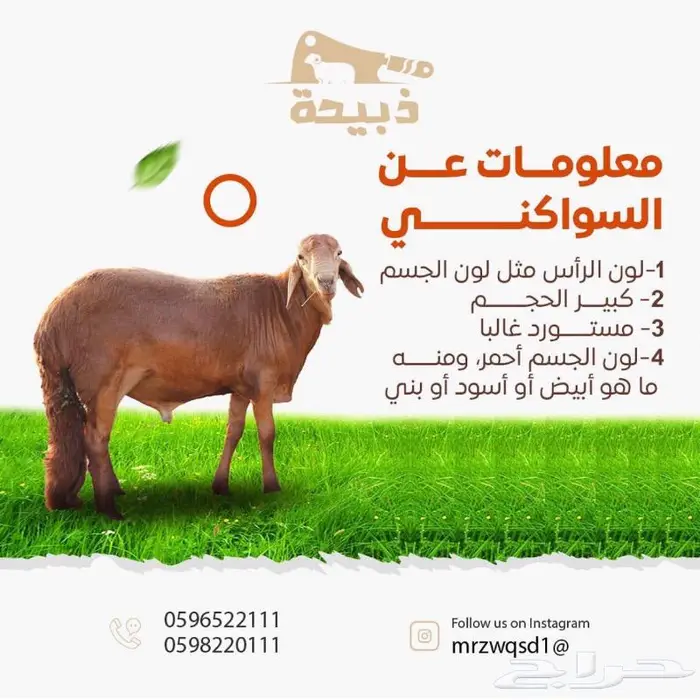 متجر ذبيحة 10