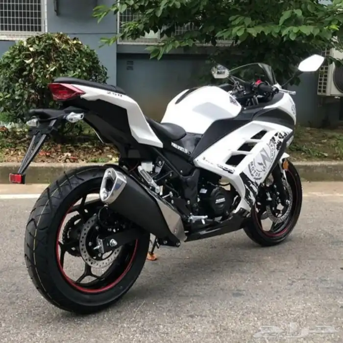 دباب ريس 2025 دراجة نارية دباب 250 cc عرض اليوم الوطني 18