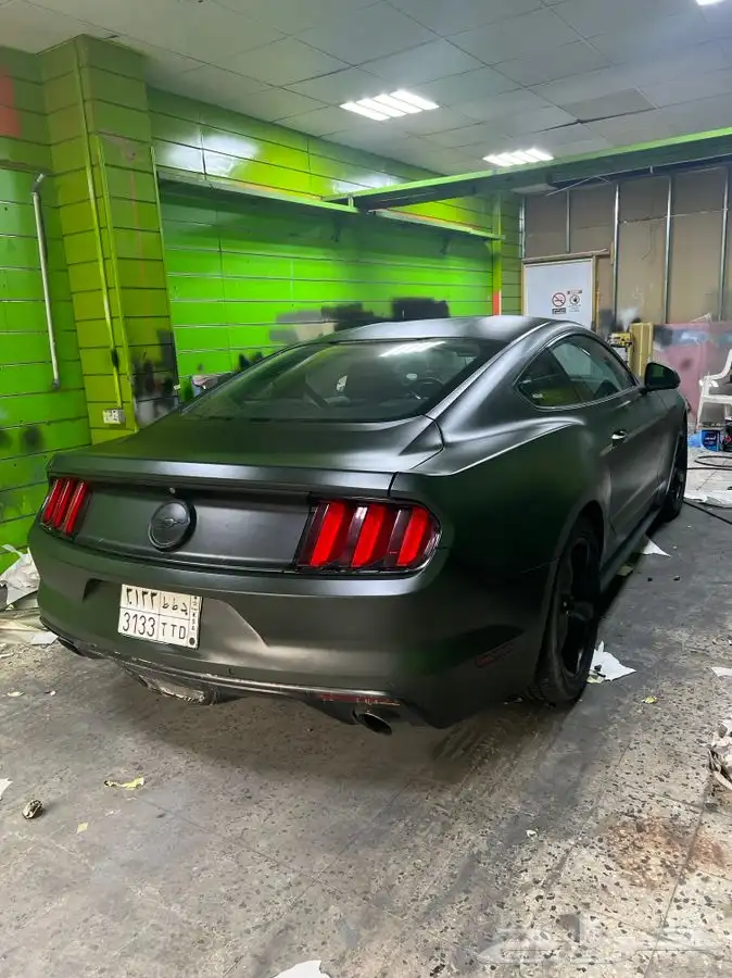 رش مطفي رش نص لمعه رش جنوط رش ديكورات 1