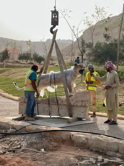 رافعه كرين ونش للإيجار الرياض اليومي والشهري 4