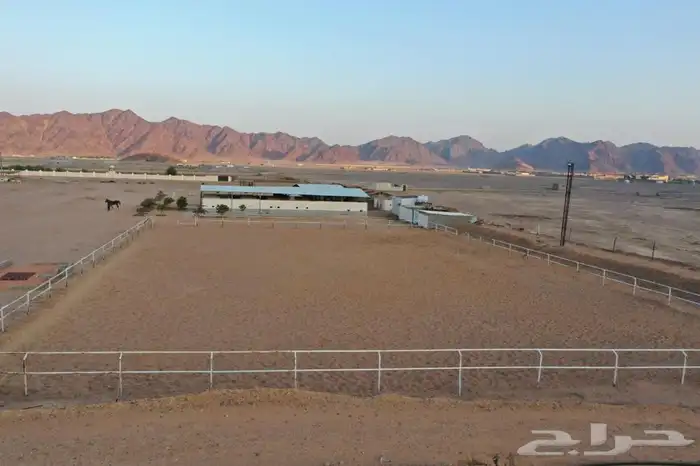 مربط واسطبل شموخ الاصايل - ايواء عسف تدريب 3