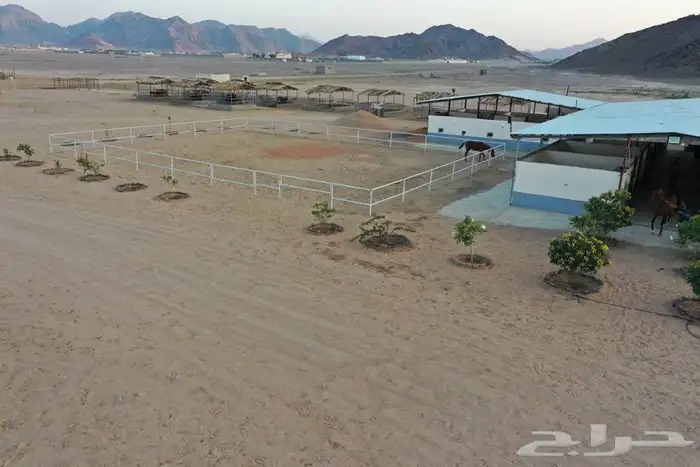 مربط واسطبل شموخ الاصايل - ايواء عسف تدريب 2