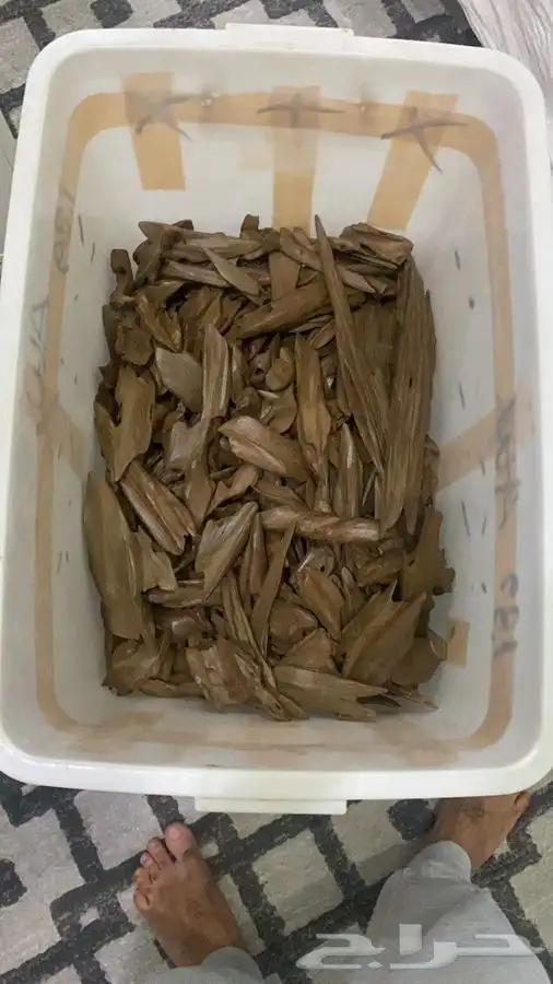 مروكي اصقون دبل سوبر جملة الجلمة 0