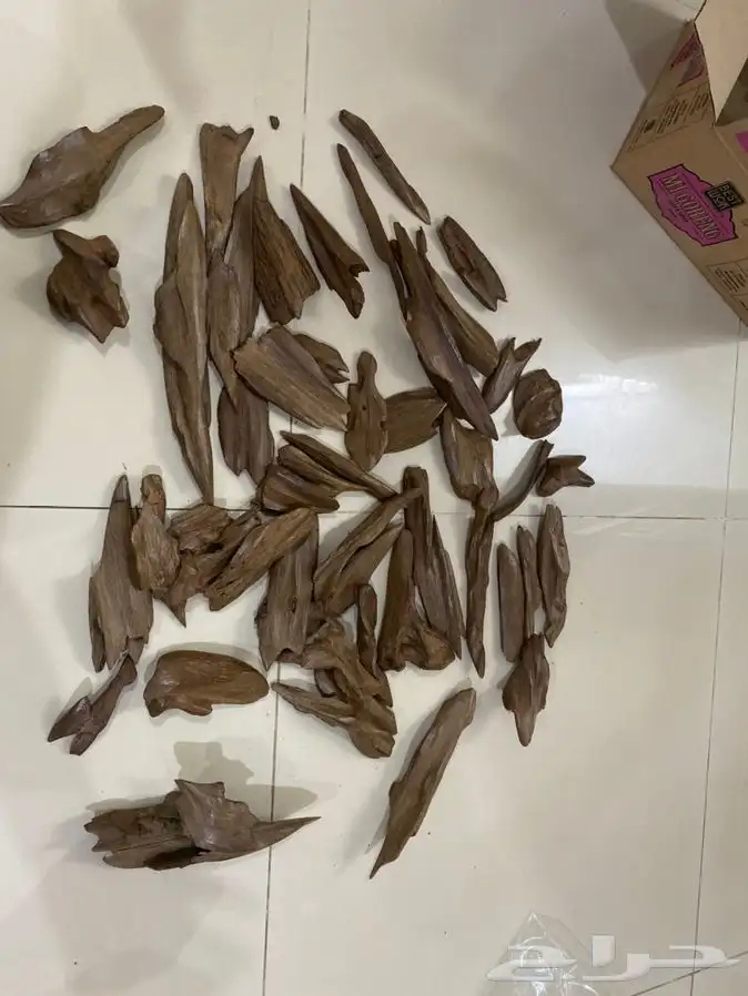 مروكي اصقون دبل سوبر جملة الجلمة 1