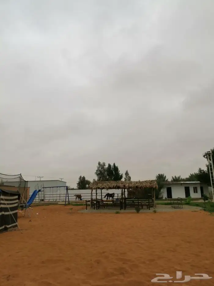 إيواء خيل بسعر مناسب 1