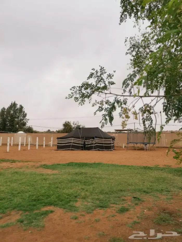 إيواء خيل بسعر مناسب 3