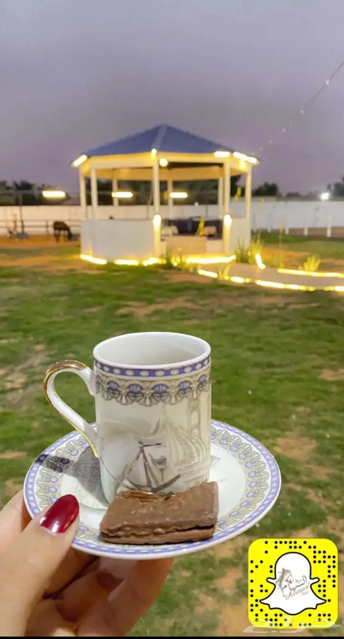 إيواء خيل بسعر مناسب 0