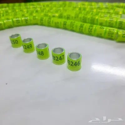 حجول حمام 2023 مقاس 8 ملم 3