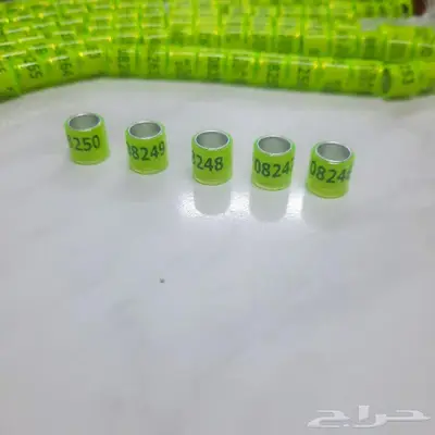 حجول حمام 2023 مقاس 8 ملم 4