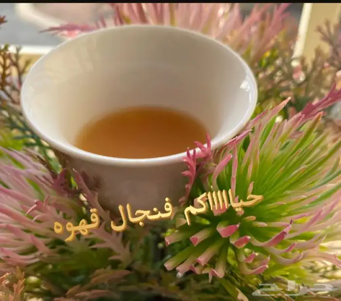 قهوة الكيف 53