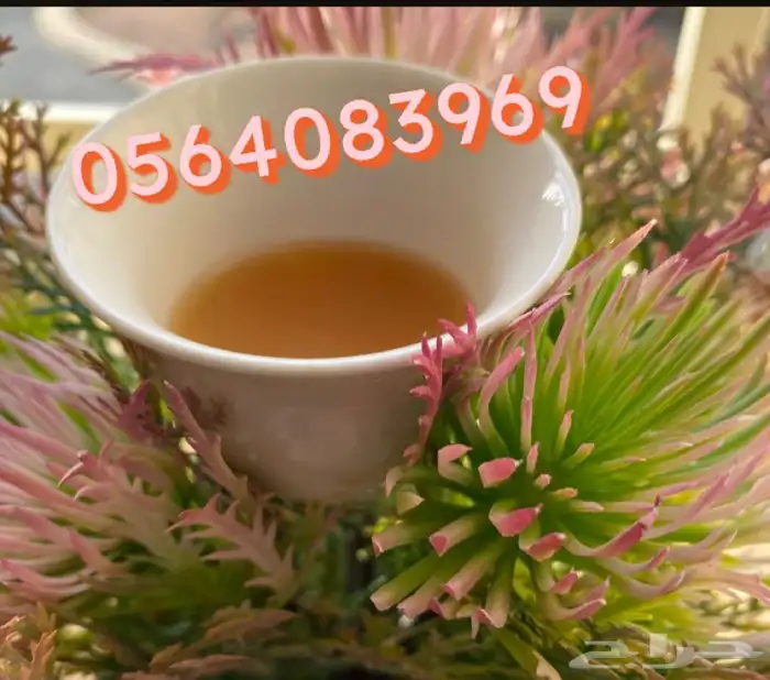 قهوة الكيف 54