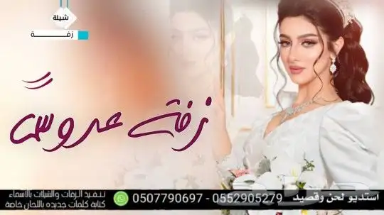 استديو تنفيذ شيلات مناسبات زفات زواج ترحيبيه شيلات جنوبي 7