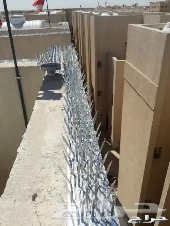 شوك طارد الحمام بالمدينة المنورة 0536591696 8