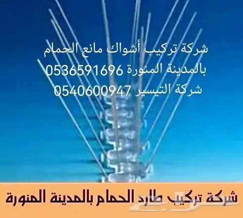 شوك طارد الحمام بالمدينة المنورة 0536591696 1