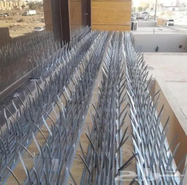 شوك طارد الحمام بالمدينة المنورة 0536591696 10