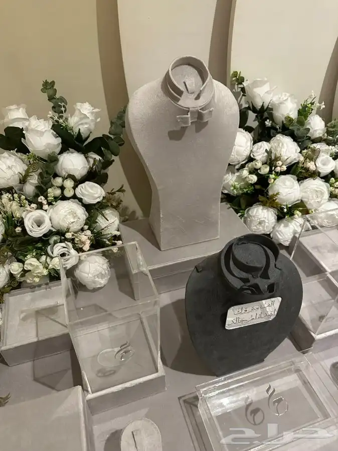 عربية شبكة عربية ملكة 2