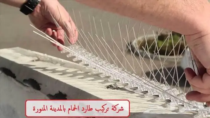 شوك طارد الحمام بالمدينة المنورة 0536591696 12