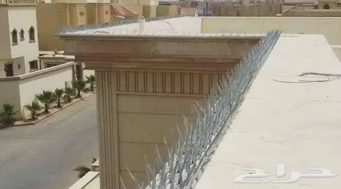 شوك طارد الحمام بالمدينة المنورة 0536591696 14