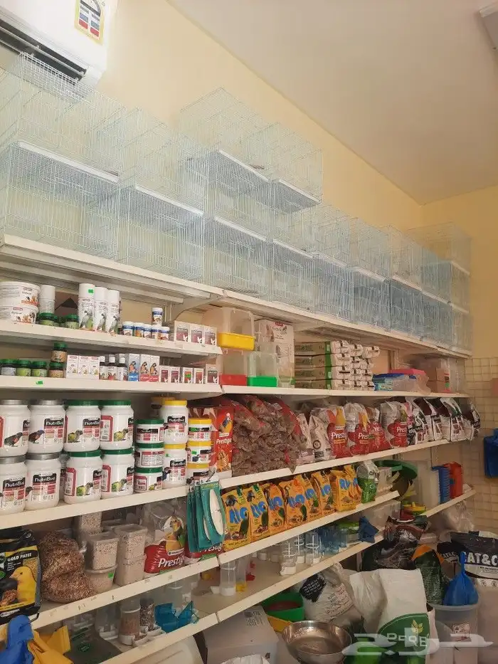 اكل طيور مستلزمات طيور بادجي كنيور كاسكو دره 6