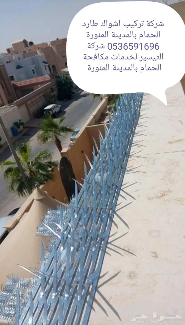 شوك طارد الحمام بالمدينة المنورة 0536591696 7