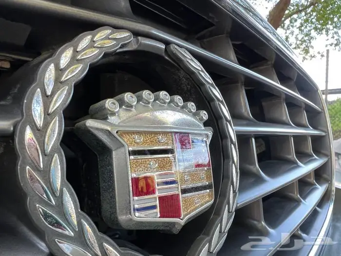 كاديلاك كونكورس جديد مخزن اصفار 8