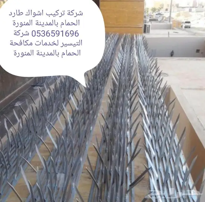 شوك طارد الحمام بالمدينة المنورة 0536591696 6