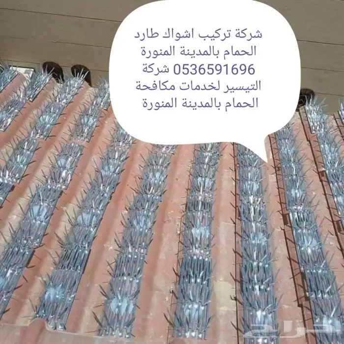 شوك طارد الحمام بالمدينة المنورة 0536591696 5