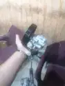 دودة دركسيون 12