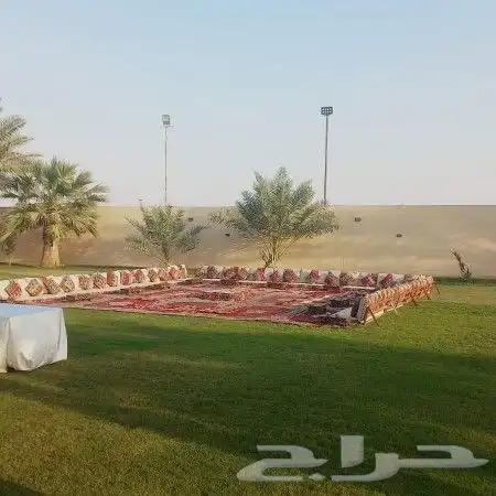 تاجير جلسات شعبيه عددت أنواع 26
