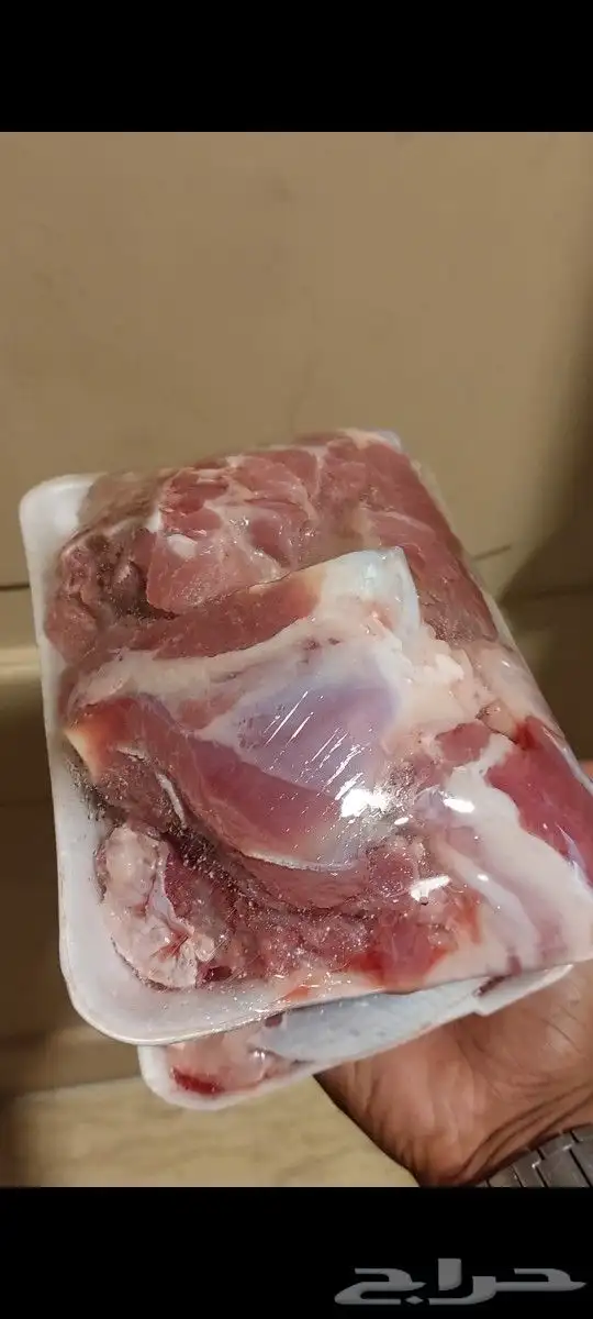 أعزم معازيمك والباقي علينا 9