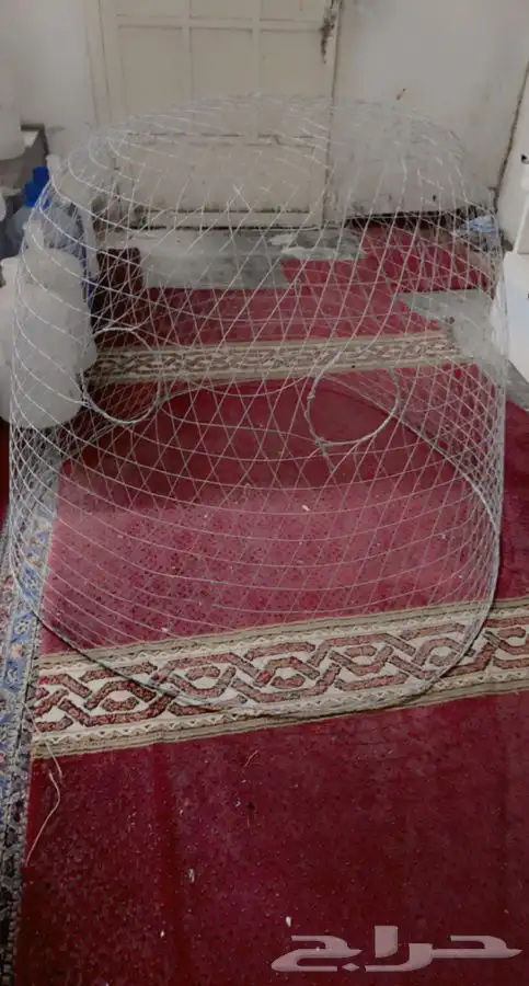 قفص او قرقور لتربية دجاج شامو للبيع 0