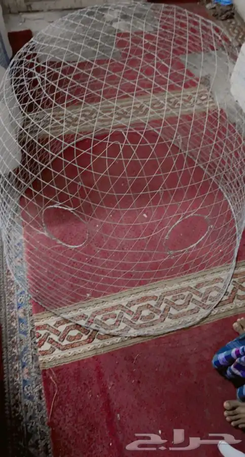 قفص او قرقور لتربية دجاج شامو للبيع 1