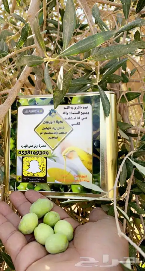 زيت زيتون نخبه الزيتون 1447 جديد عصره بارد شرط مضمون 2