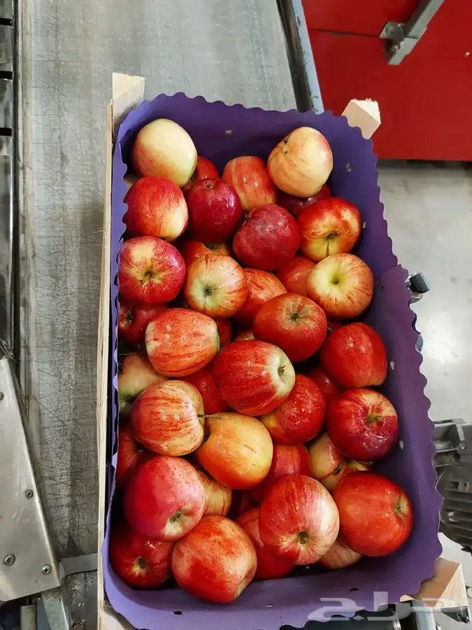 طباعه هدايا علب جلد دروع تطريز تيشرتات 0566335118 5