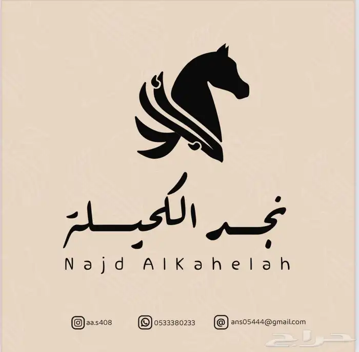 عرض خاص سرج خيل ستيتوس سعر سابق 1000 بعد خصم 760 2