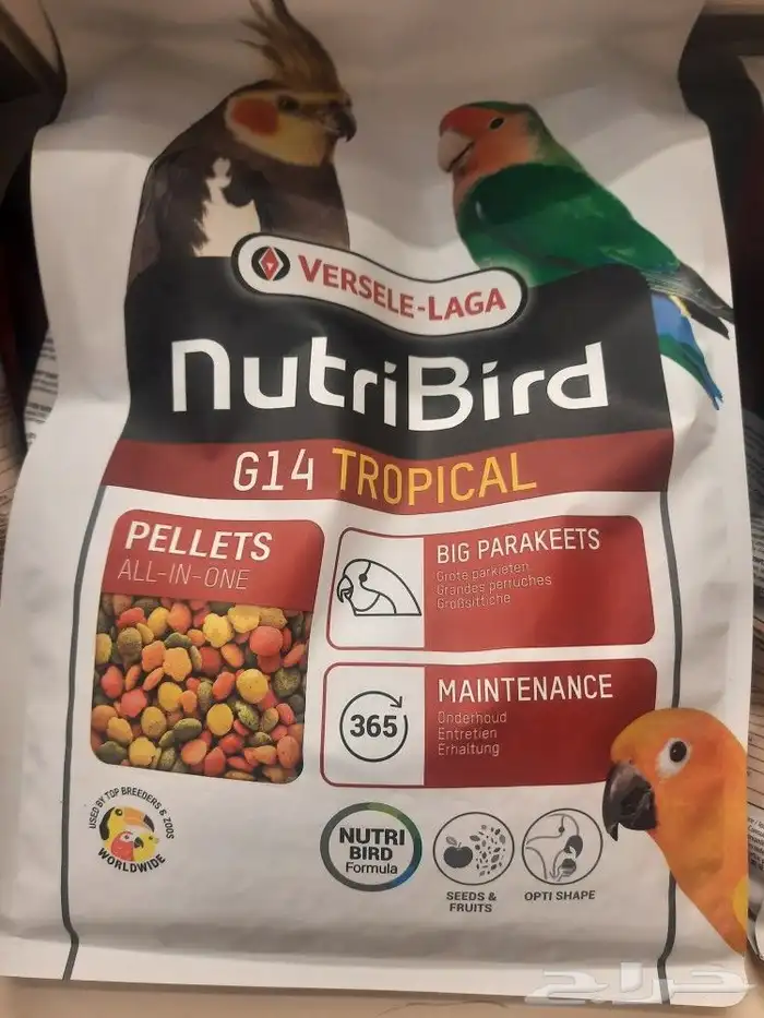 مستلزمات طيور واغراض ببغاء وطيور 8