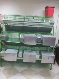 بطاريه ارانب11عين 1
