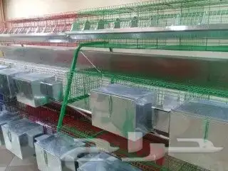 بطاريه ارانب11عين 2