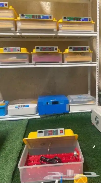 فقاسات سعة 24 بيضة مع هدايا وضمان 2