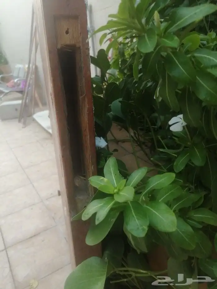 باب خشب نظيف 0