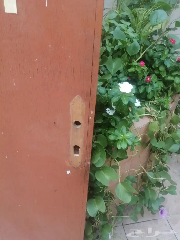 باب خشب نظيف 3