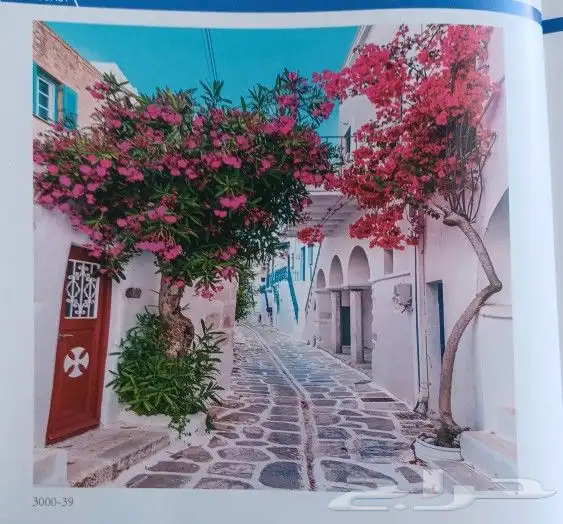 ستائر رول عالية الجودة 3D 21