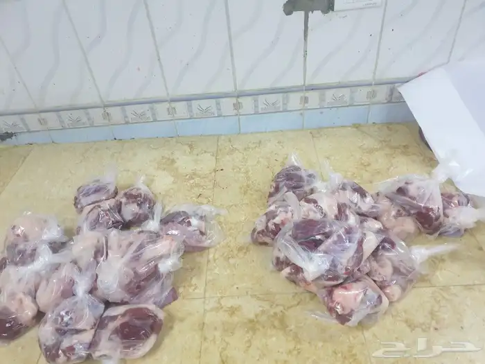 ذبيحتك حري فاخر باسعار مناسبه لباب بيتك 6