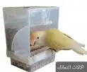 ملح الهملايا وعظم الحبار الطبيعي 11