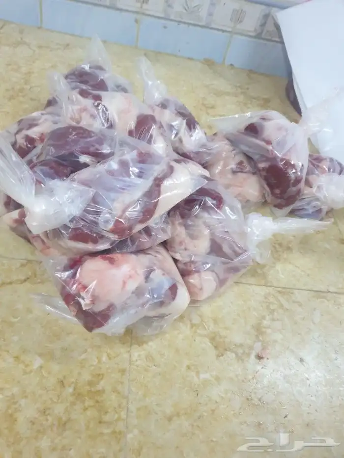 ذبيحتك حري فاخر باسعار مناسبه لباب بيتك 8